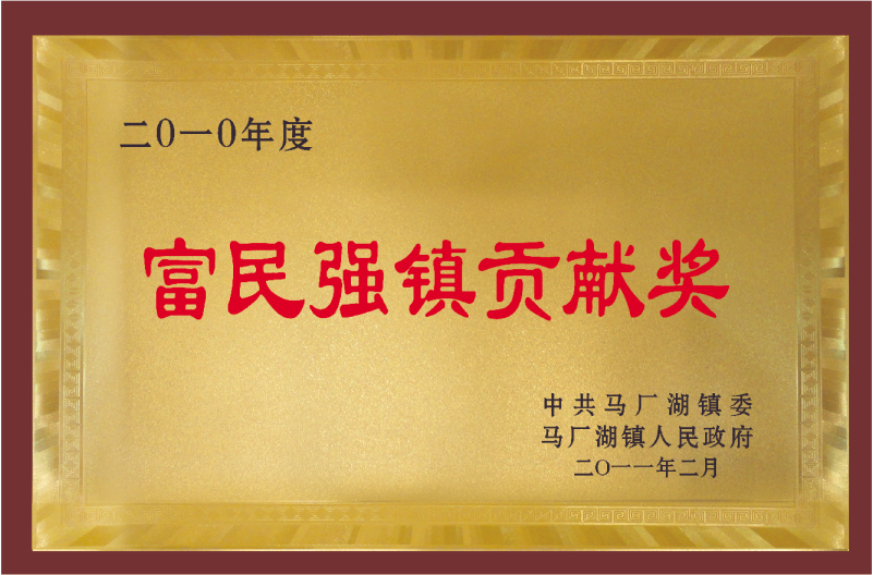 2010年度富民強(qiáng)鎮(zhèn)貢獻(xiàn)獎(jiǎng)